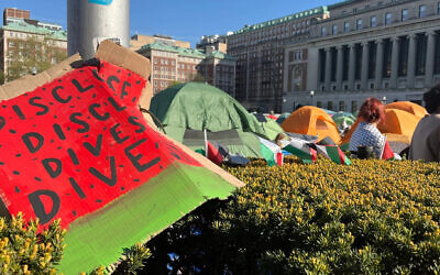 Columbia University student protesters camped on campus to call for divestment from Israel, April 28, 2024. (Philissa Cramer)